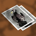Cormorant Print
