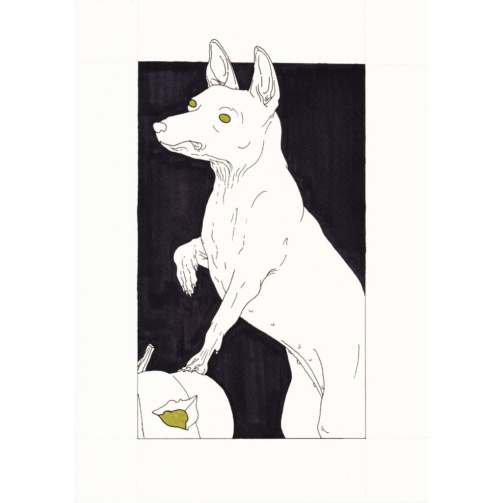 Xoloitzcuintle, Ink & Marker on Paper