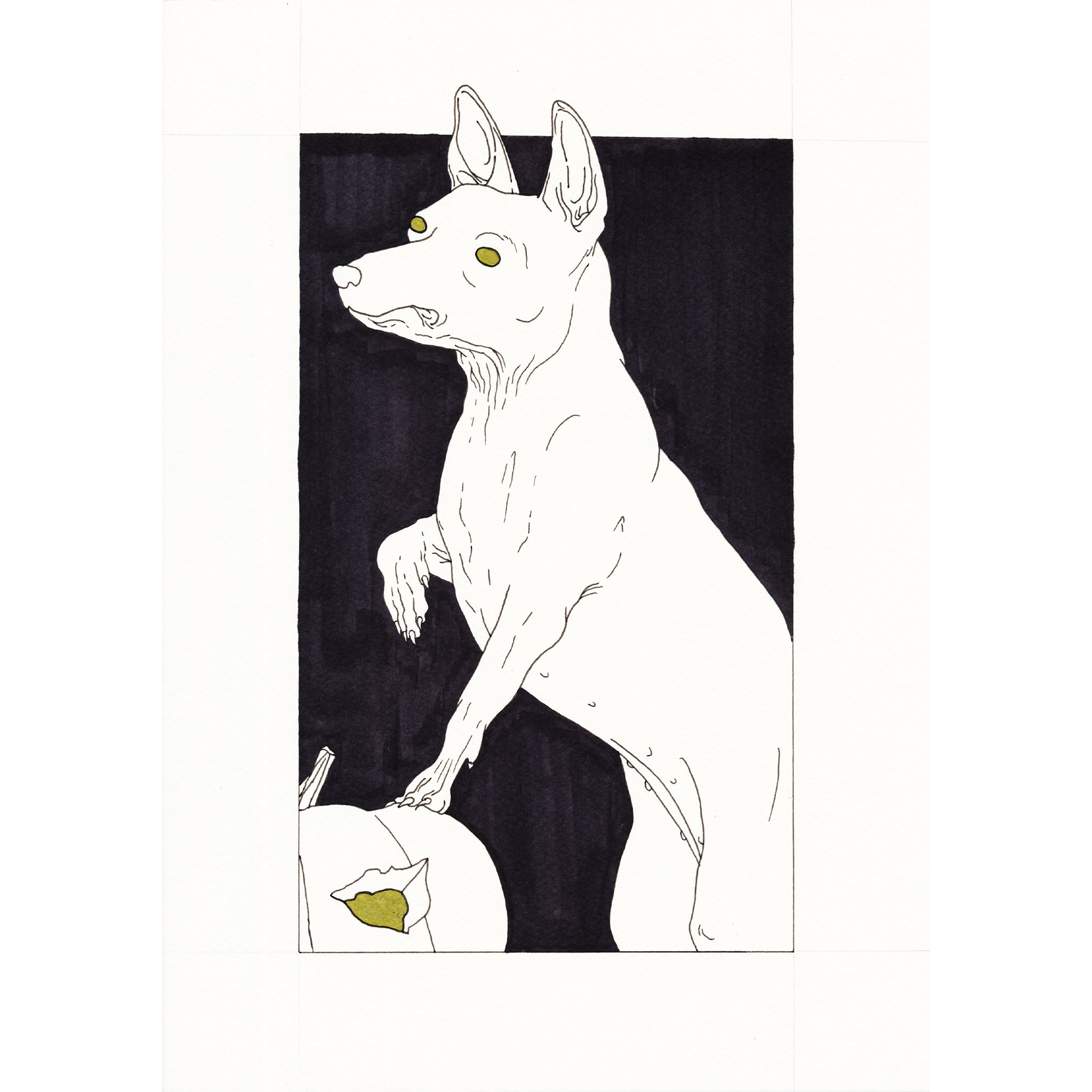 Xoloitzcuintle, Ink & Marker on Paper